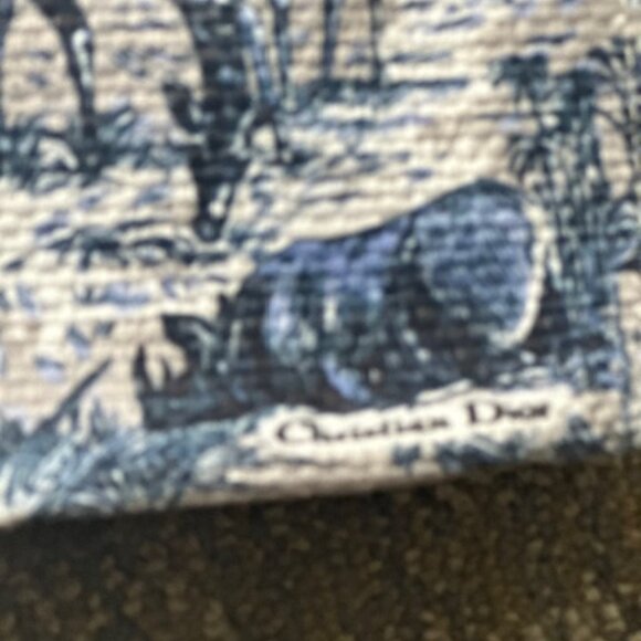 Christian DIOR VIP Exclusive Around the World Tote Bag (NEW) - Picture 2 of 15